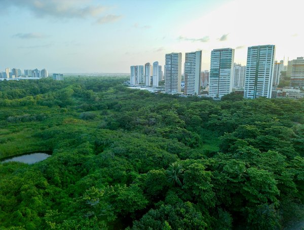 Nutrition : astuces pour choisir vos compléments alimentaires