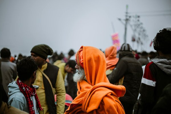 Quel arbre fruitier choisir pour un jardin épanoui ?