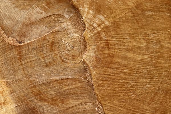 Comparatif des isolants en fibre de bois : choix et avantages